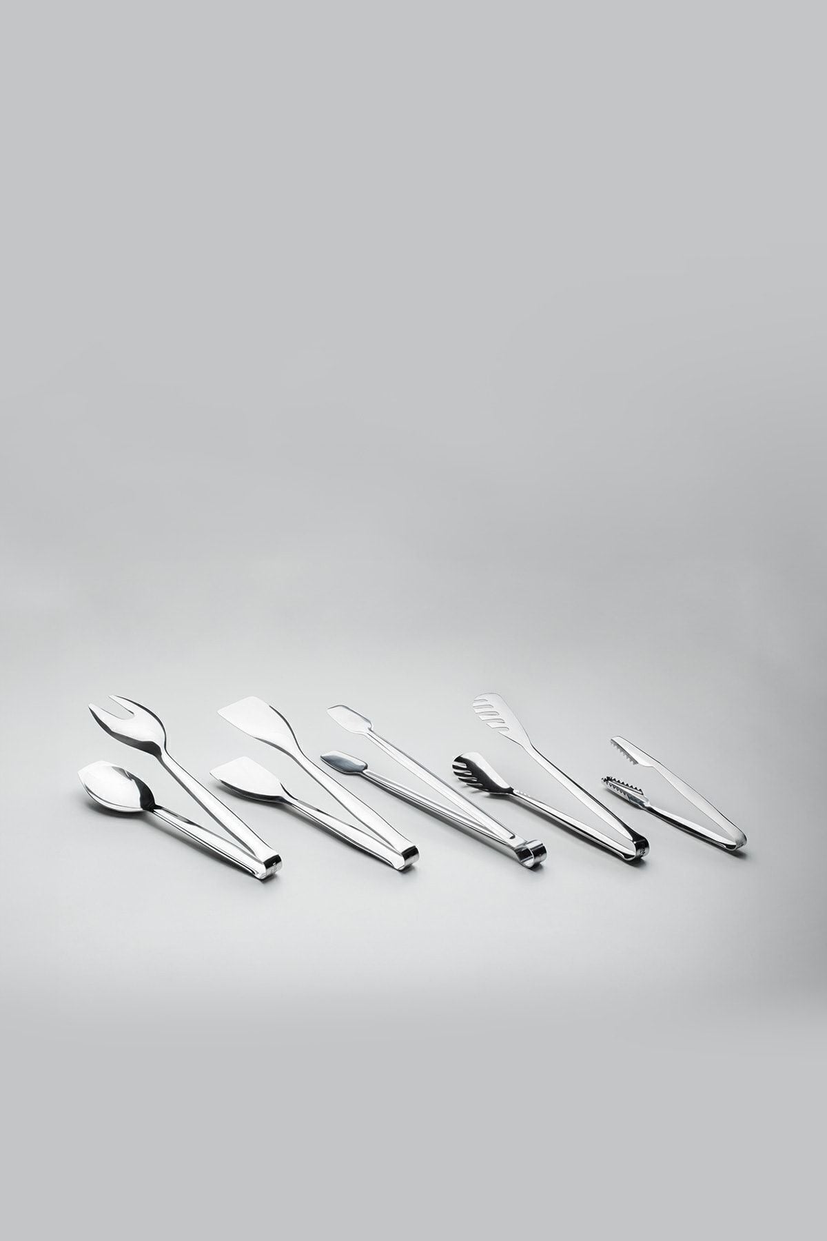 5 Piece Stainless Steel Tongs Set