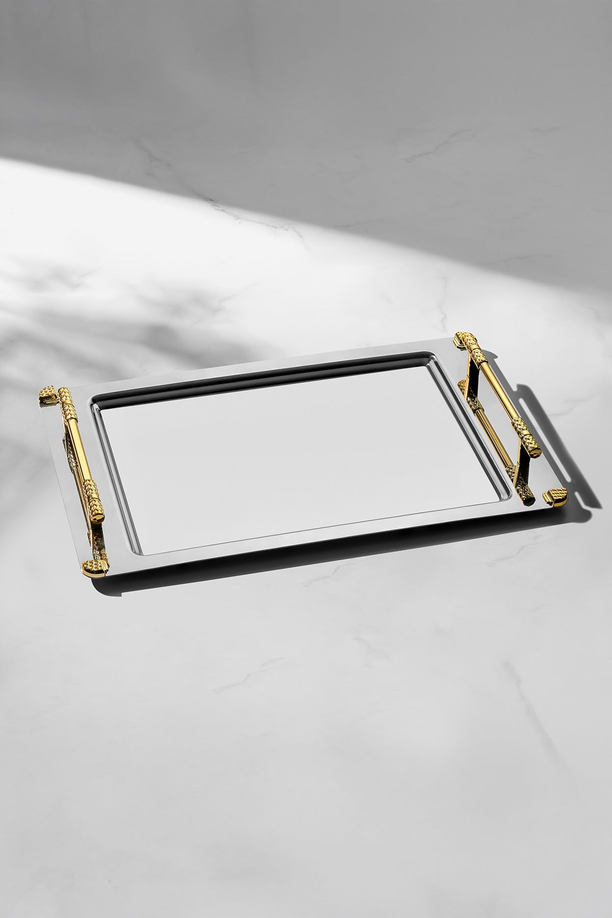 Paris Gold Satin Steel Tray Set of 2