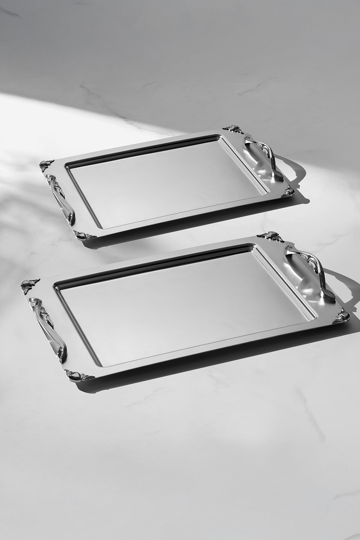 Sare Satin 2-Piece Steel Tray Set