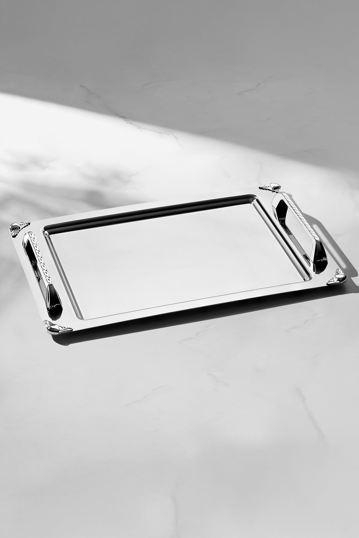 Vega Satin 2-Piece Steel Tray Set