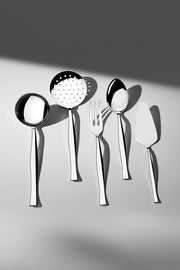 Elegant Simple 5 Piece Stainless Steel Serving Set